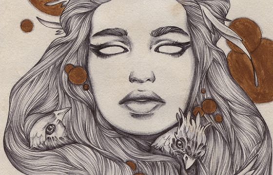 Illustrations by Alice Savage