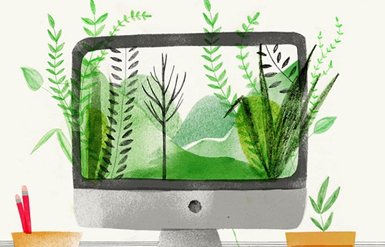 Naomi Elliott Illustration