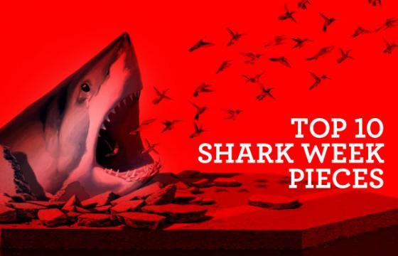 Top 10 Shark Week Pieces