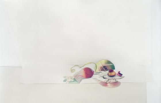 Laura Letinsky @ MCA Chicago