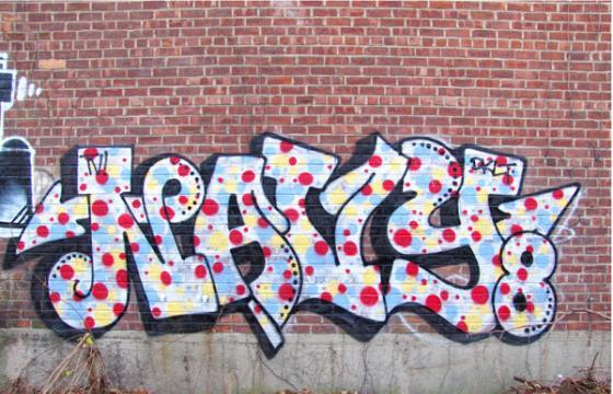 Navy 8 Wonder