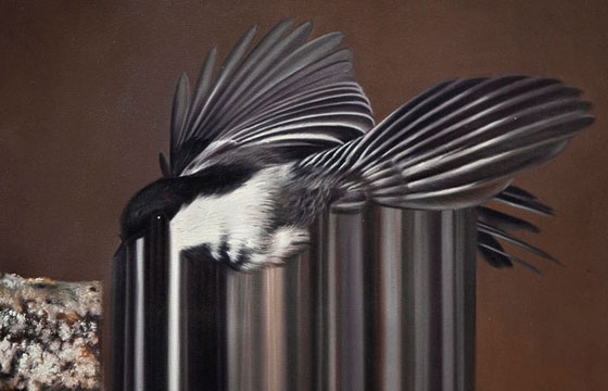 Maurizio Bongiovanni's Abstract Birds