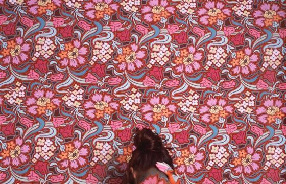 Wallflower: Paintings by Cecilia Paredes