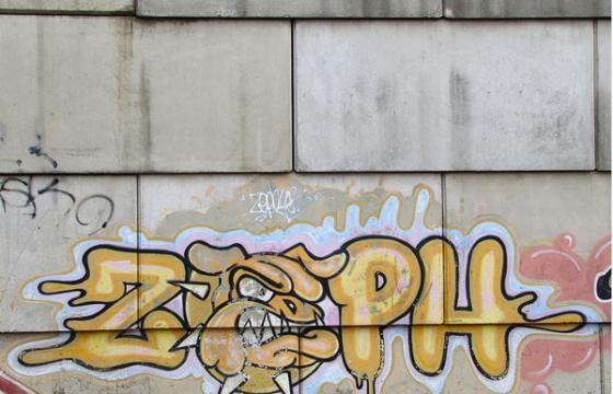 Bulldog Zeph...