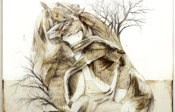 The Anatomical Work of Nunzio Paci