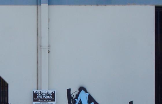 Zes & Bonks Wall
