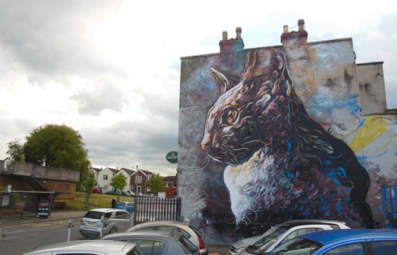 Massive cat by C215 in Bristol