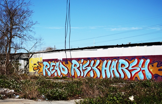 Read x Risk X Harsh