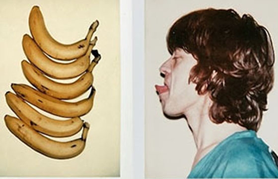 Big Shots: Andy Warhol Polaroids