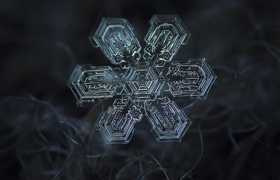 DIY Camera Rig Captures Close-ups of Snowflakes