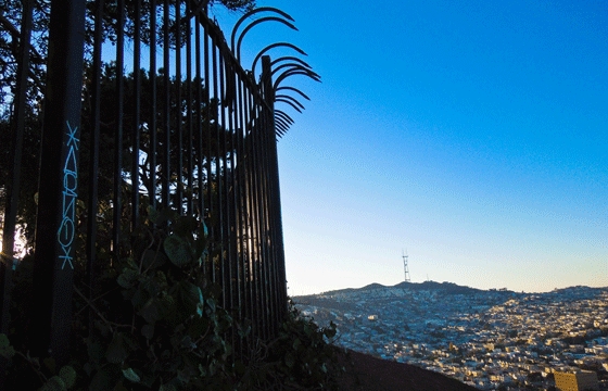 Scene Report: Bay Area
