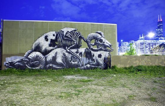 ROA In Chicago