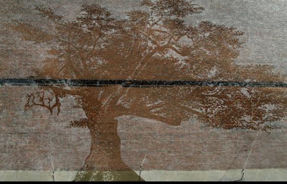 Public Art From Rain