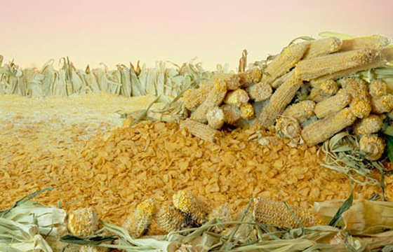 Barbara Ciurej and Lindsay Lochman's "Processed Views"
