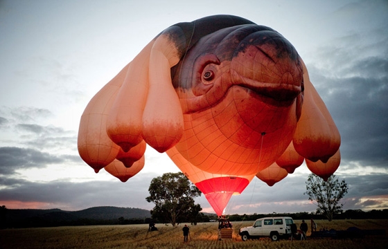 "The Skywhale" Hot Air Balloon by Patricia Piccinini