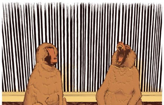 Tyler Wintermute's Animalia