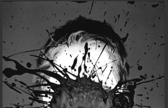 The Dark Universe of Laurence Demaison
