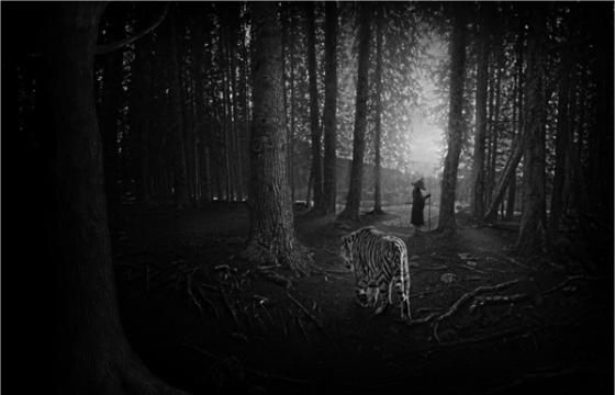 Nick Pedersen: Sumeru