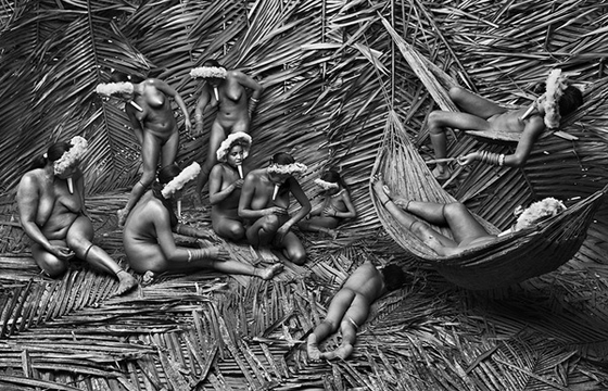 "Genesis" by Sebastião Salgado