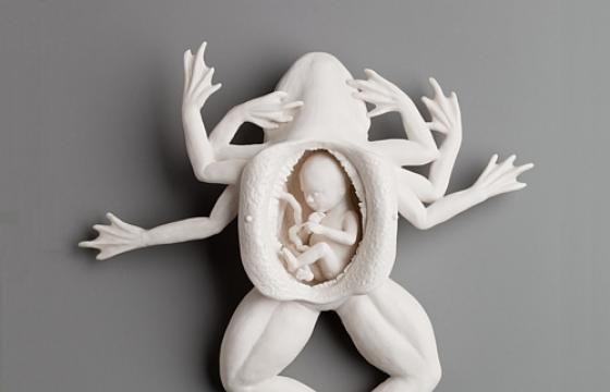 The Works of Kate Macdowell