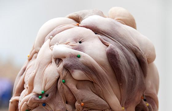 The Nylon Sculptures of Rosa Verloop