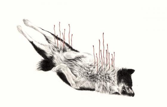 In Illustration: The work of rachel Goodyear