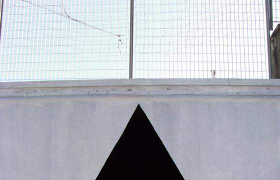Basic Shapes of Geometry