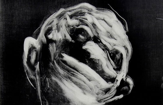 Nicole Coson's "Spirit Captures"