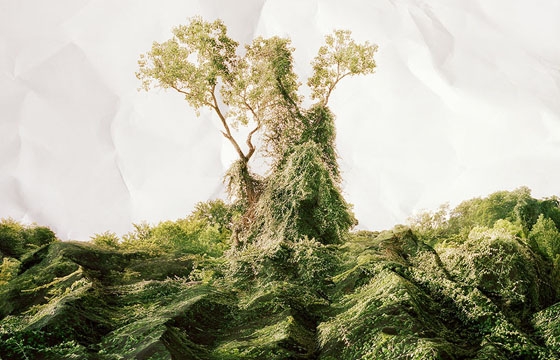 Illusory Landscape Photographs by Laura Plageman