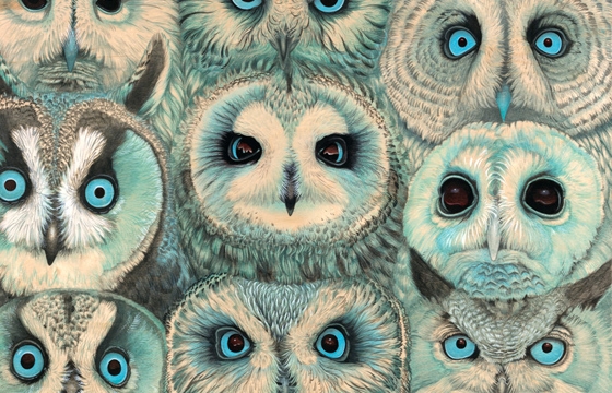 Tiffany Bozic "Sense of Wonder" @ Fecal Face Dot Gallery, SF