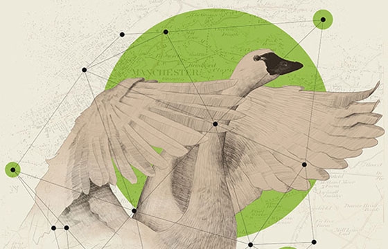 Works by Kaan Bagci