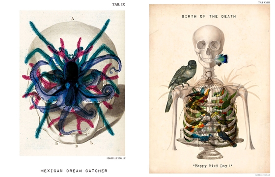 Isabelle Dalle's Digital Anatomical Portraits