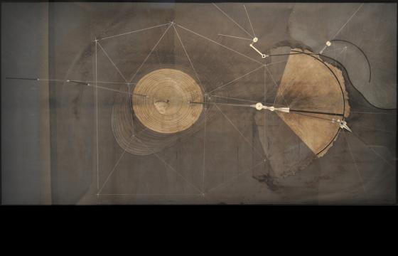 Dissecting Nature at Quint Gallery, San Diego