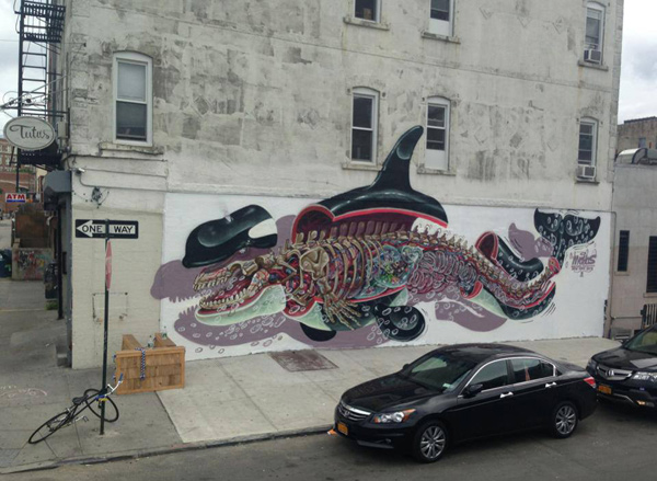 Dissected Orca by Nychos in Brooklyn