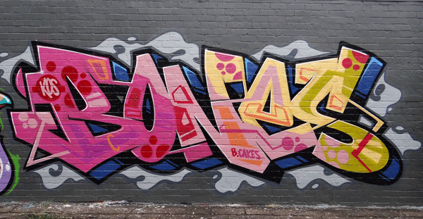 You need to clean the bones..