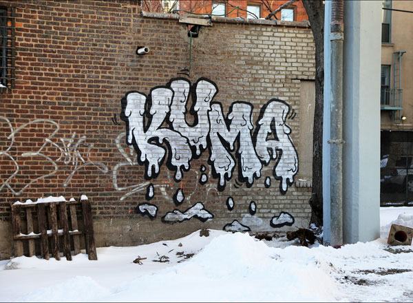 Kuma got caught in a blizzard