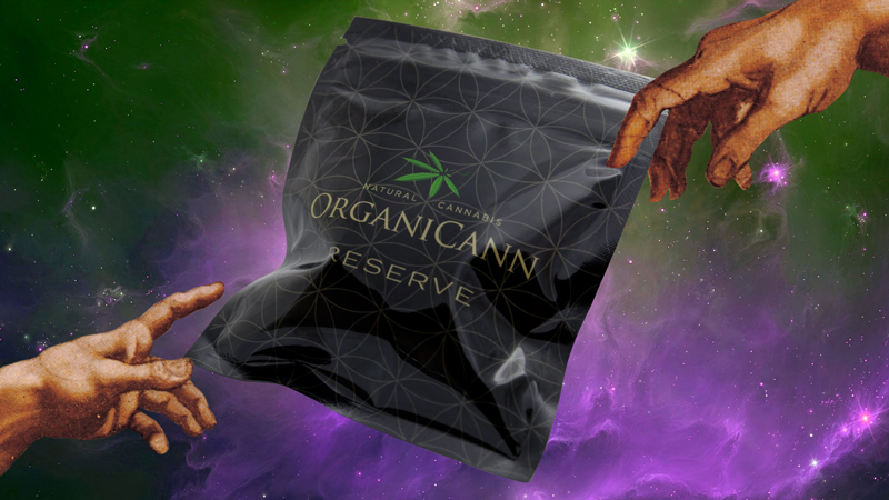 OrganiCann Presents: High Art, An Annual Arts Challenge Hosted By Juxtapoz