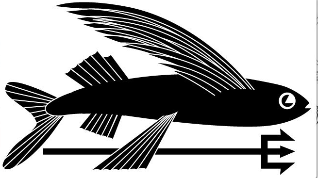 Geoff McFetridge for Patagonia