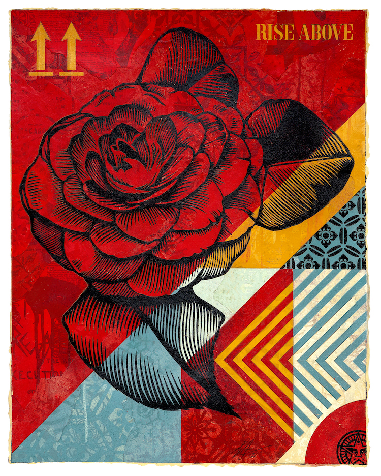 Rise Above Flower Study FNL