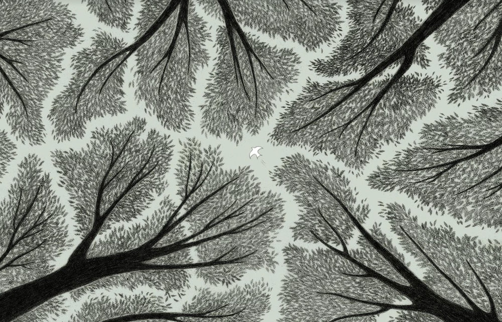 Pei Hsin CHO Crown Shyness