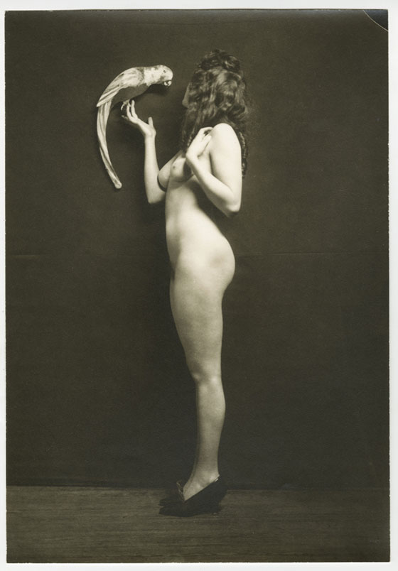 'Nude and Parrot' by Alfred Cheney Johnston