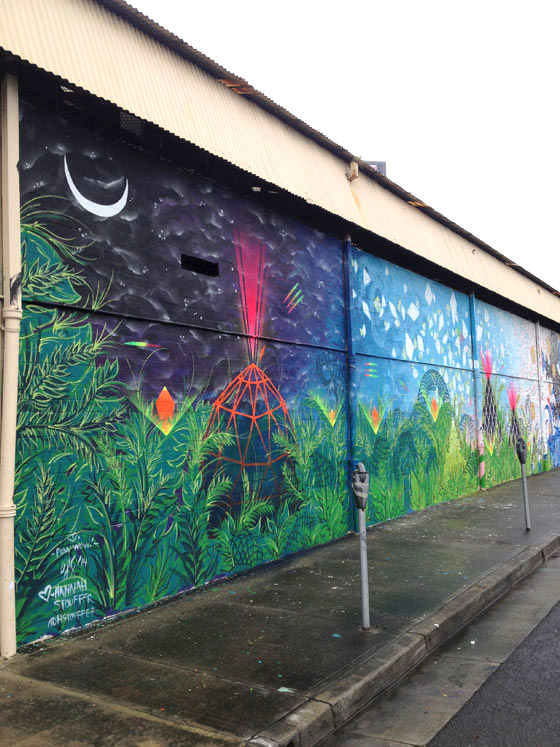 Andrew Schoultz x Hannah Stouffer for POW! WOW! Hawaii article image 1