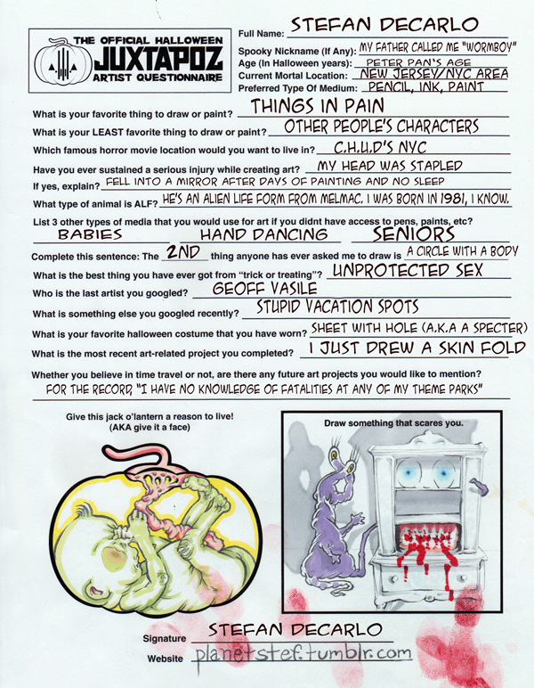 StefanDecarloQuestionnaire