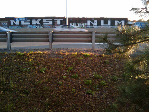jux_nekst_msk34