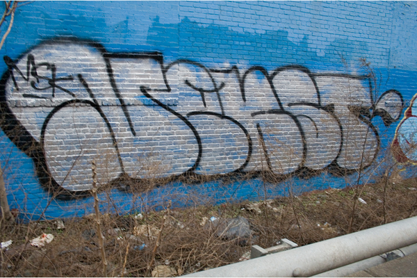 jux_nekst_msk44