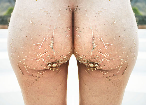 Erotica1