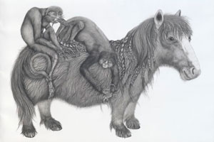 taratucker_thumbsmall