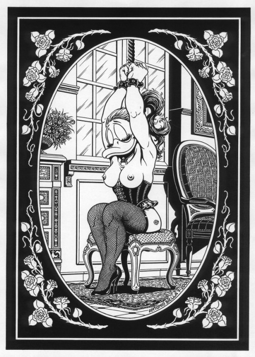 Carousel Image number 4