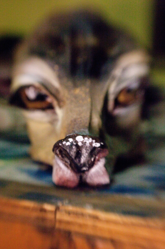 Carousel Image number 4