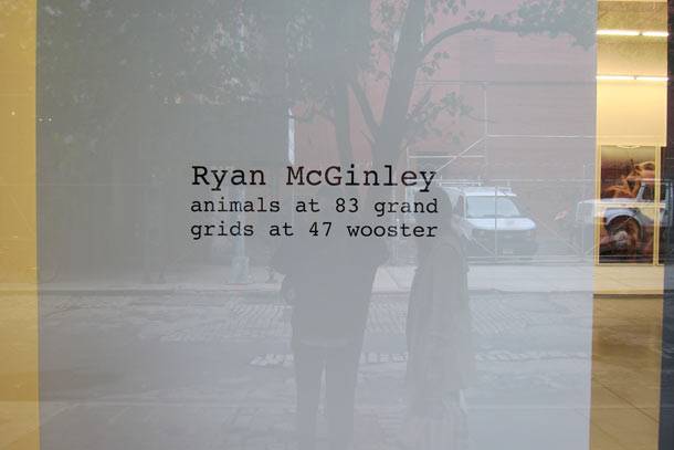 Carousel Image number 11